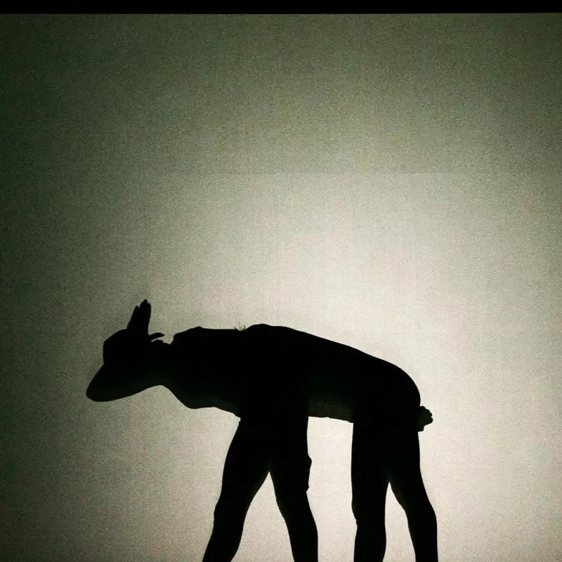 Two performers use their bodies to form an animal silhouette