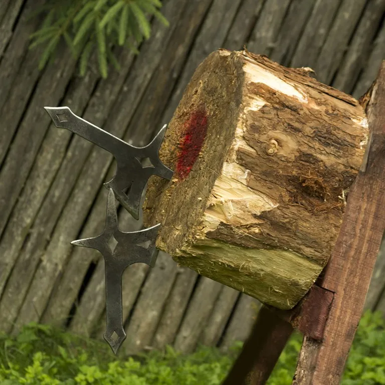 Axes stuck in a wooden log with a bright red target centre