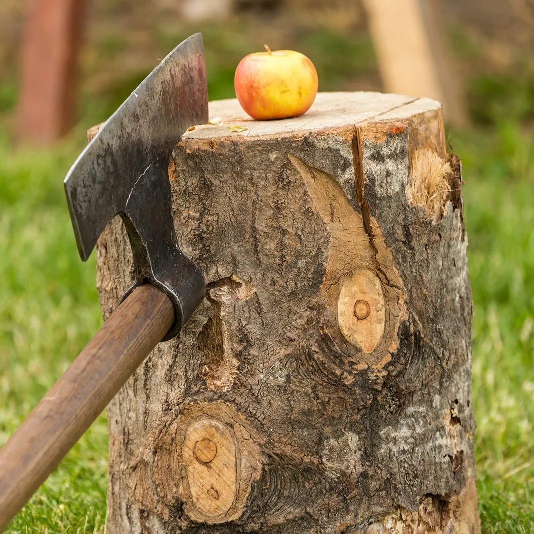 An axe stuck in a wooden block with an apple placed on top for the accuracy challenge