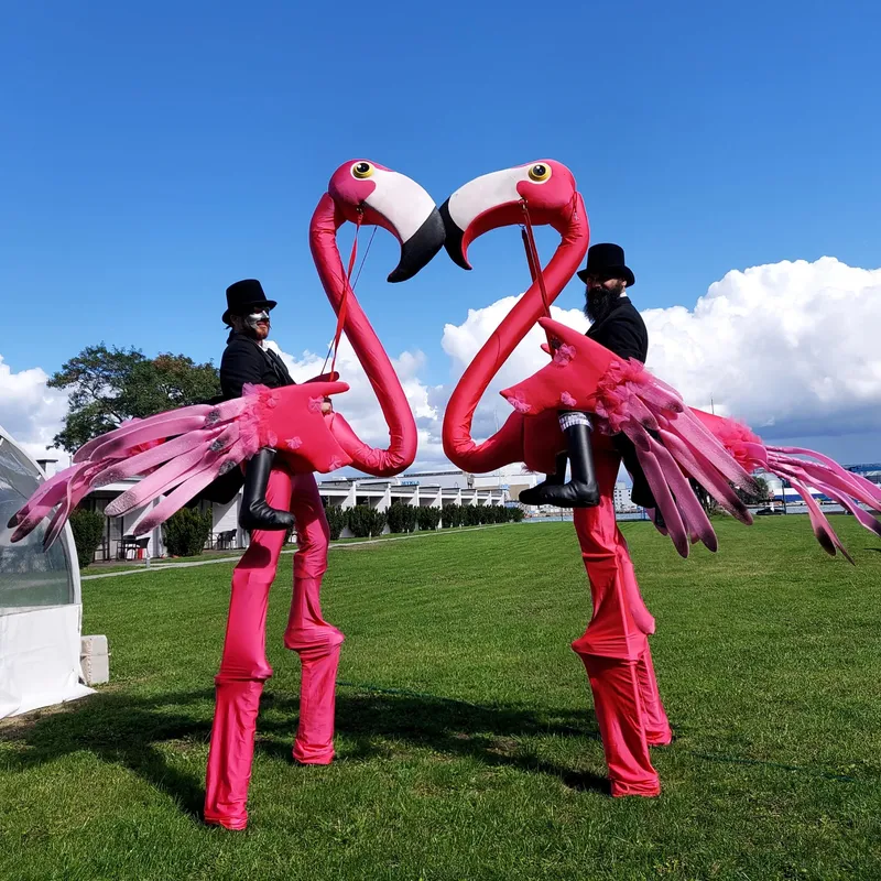 Divi kokturkalnu flamingo tēli veido sirdi ar savām kaklu