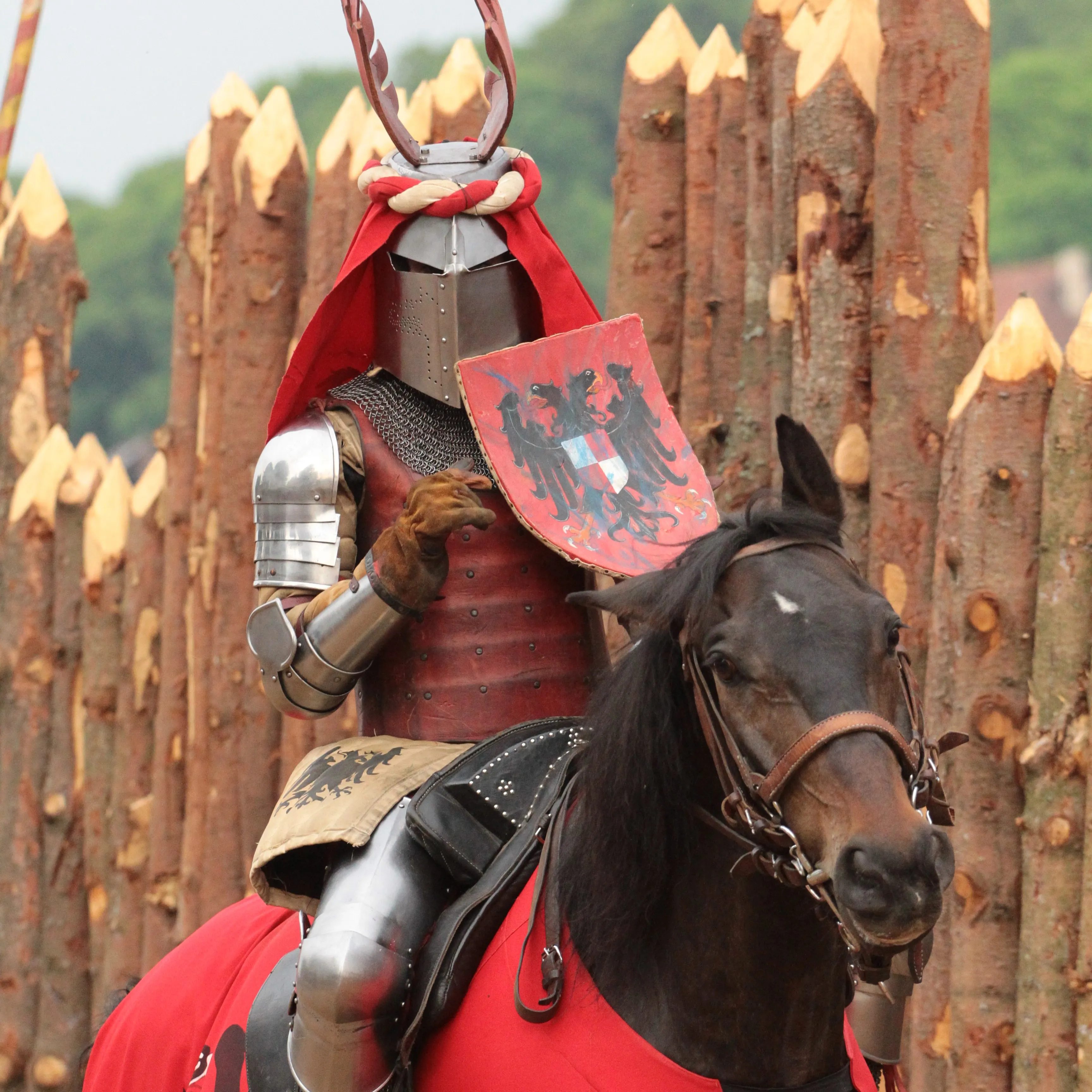 A mounted knight with an eagle-crest shield beside a wooden palisade
