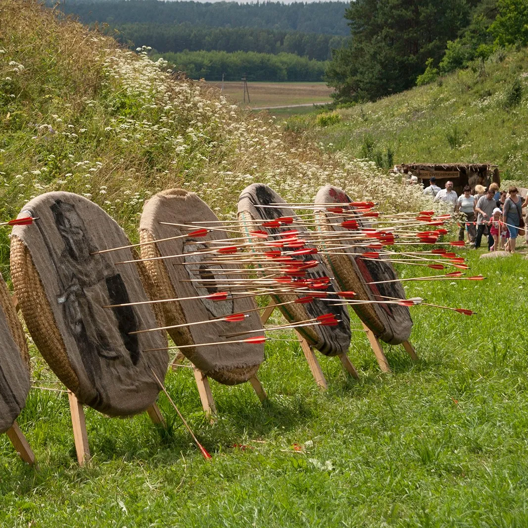 A row of straw archery targets studded with arrows in a meadow