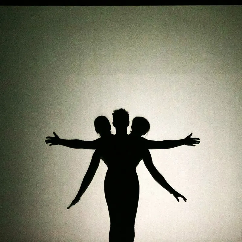 Three performers create a wing-like silhouette figure in the shadow theatre