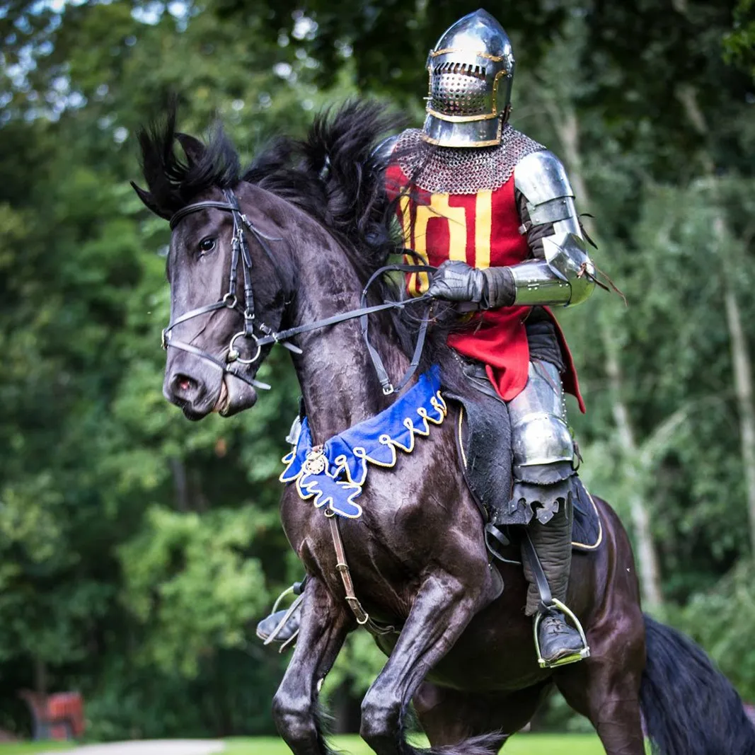 A galloping horse with an armoured rider in red and yellow dress