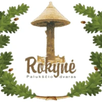 Rokynė